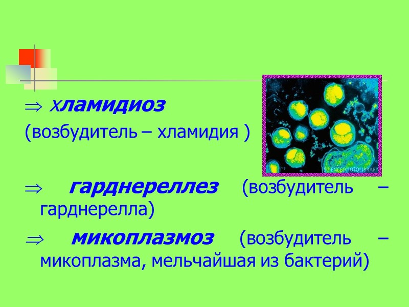  хламидиоз  (возбудитель – хламидия )      гарднереллез (возбудитель